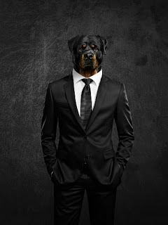 Dog in a Suit