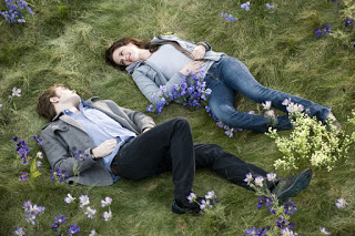 love couple lying on grass and flowers hd wallpaper lovewallpapers4u blogspot com