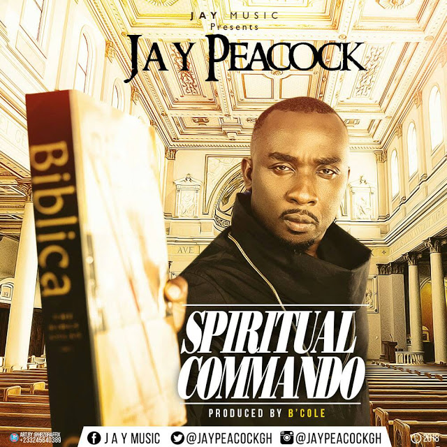 JayPeacock SpiritualCommandoartwork
