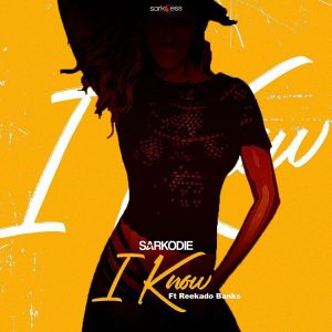 Sarkodie 's "I Know" cover artwork