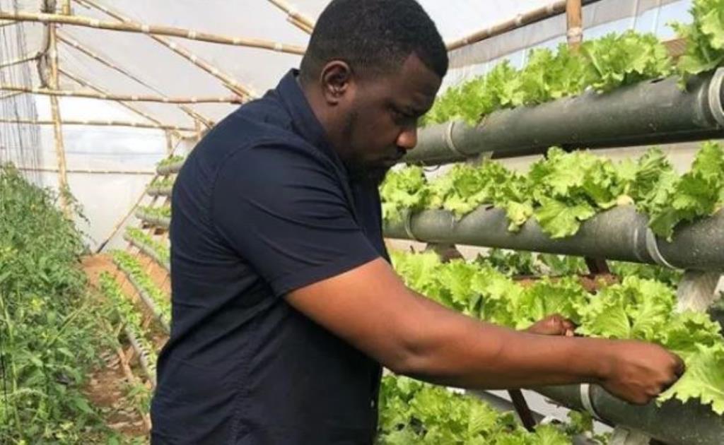 Agriculture is the answer to most of Ghana’s problems – John Dumelo