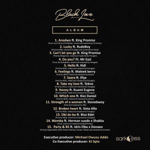 Official tracklist for the Black Love album
