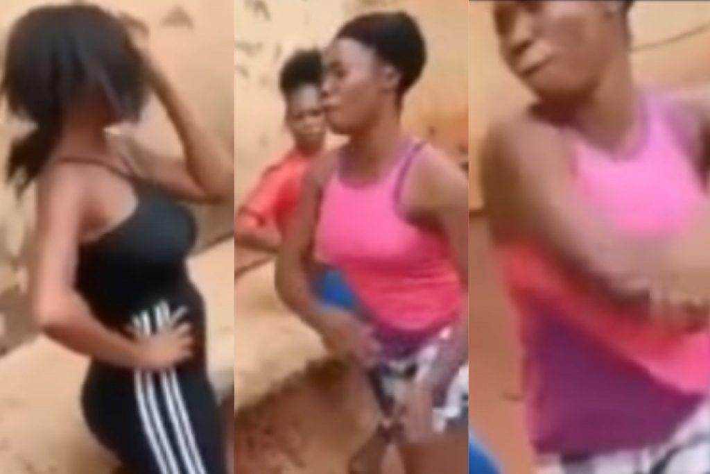 Lady gives female friend dirty slaps for snatching boyfriend