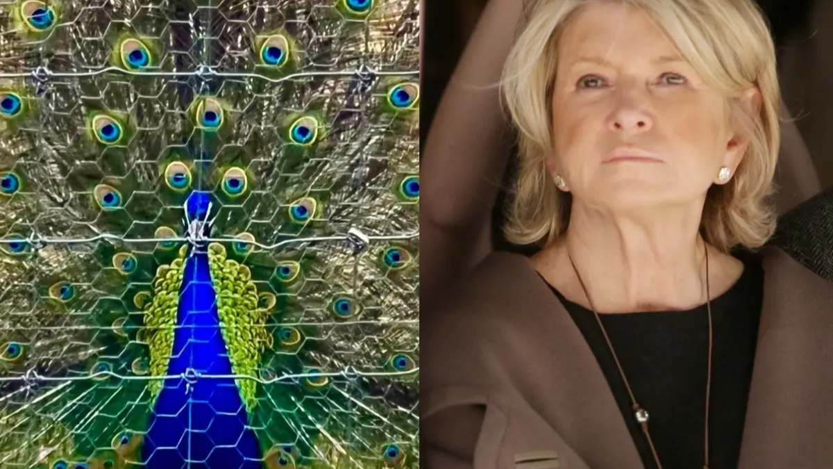 Martha Stewart heartbroken by the death of her pet peacocks