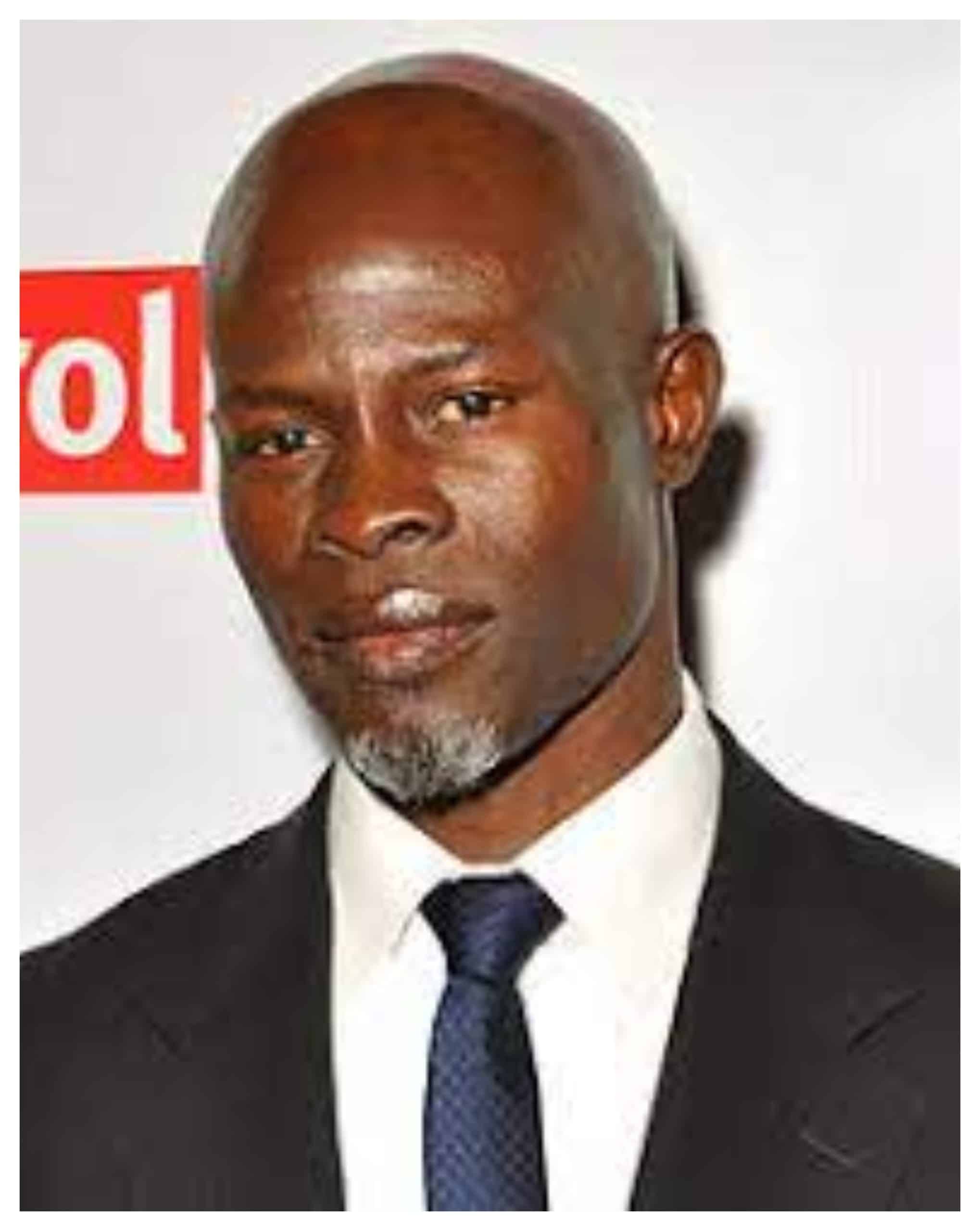 Djimon Hounsou wife Is Djimon Hounsou married?