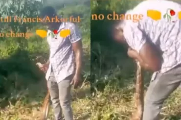 Brave Ghanaian farmer wrestles with huge python