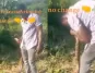 Brave Ghanaian farmer wrestles with huge python